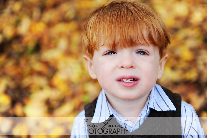 DSC_2564 web