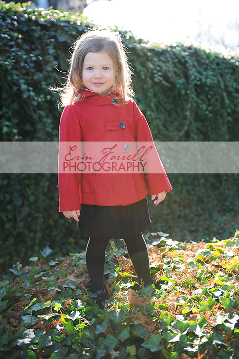 DSC_2794 DSC_2794