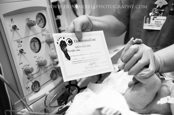 DSC_9236 web