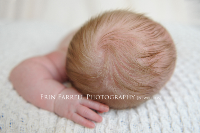 delaware newborn photographer-web delaware newborn photographer