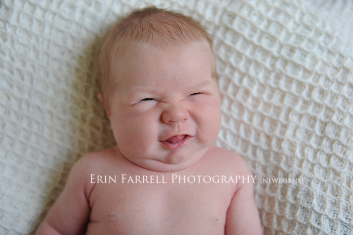 delaware newborn photographer delaware newborn photographer