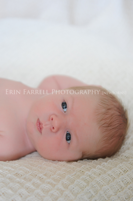 delaware newborn photographer delaware newborn photographer