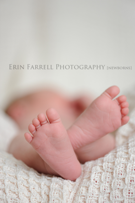 delaware newborn photographer delaware newborn photographer