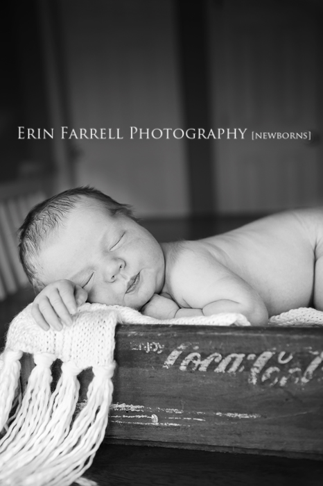 delaware newborn photographer delaware newborn photographer