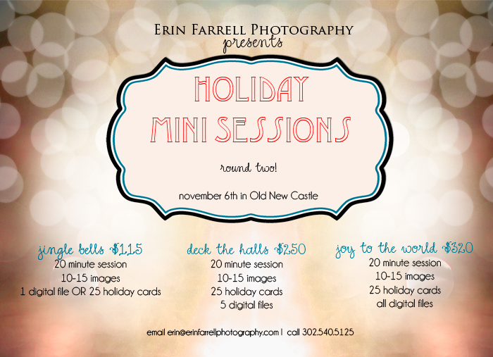 minisessionflyer1z