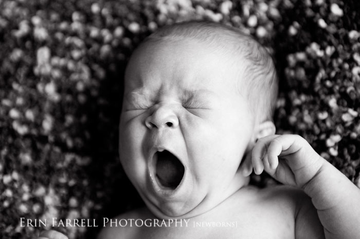 EFP_5602-bw-web delaware newborn photographer