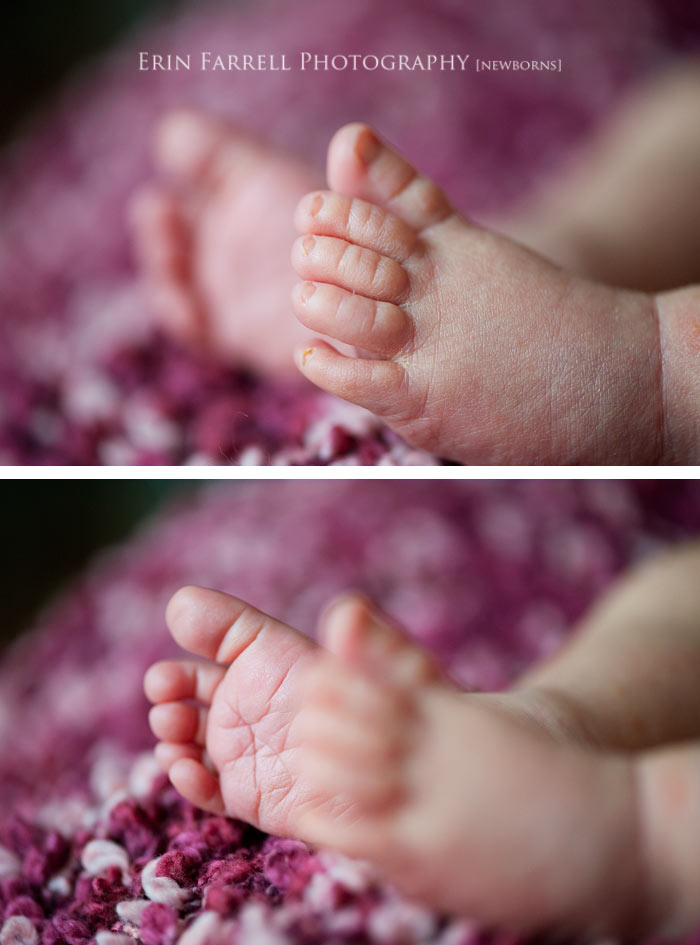 blogtoes delaware newborn photographer