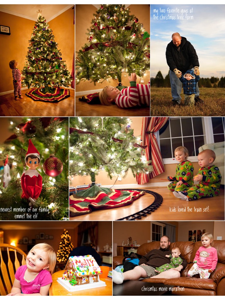 delaware portrait photographer, delaware wedding photographer