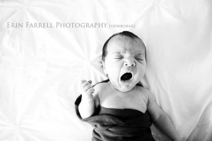 blognisha_web_08 delaware newborn photography