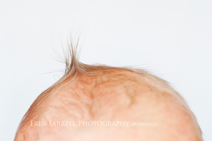 DSC_1944-ed delaware newborn photographer, delaware baby photographer