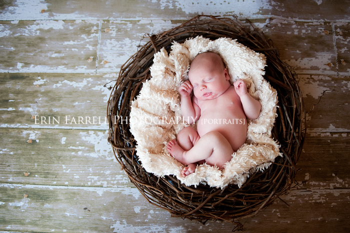 EFP_2258-web delaware newborn photographer, delaware baby photographer