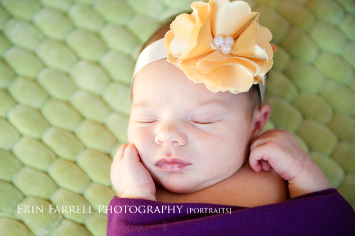 EFP_7200-blog newark delaware newborn photographer