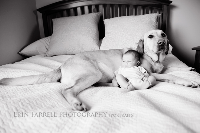EFP_7872-copy wilmington delaware newborn photographer