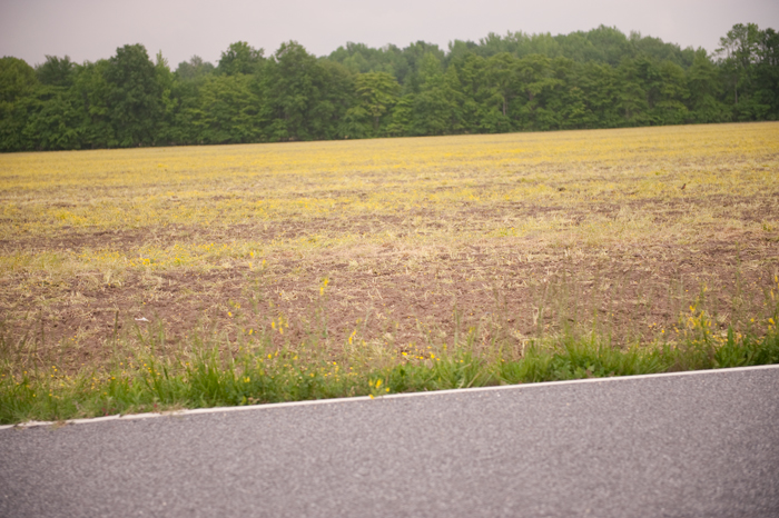 EFP_3458-web
