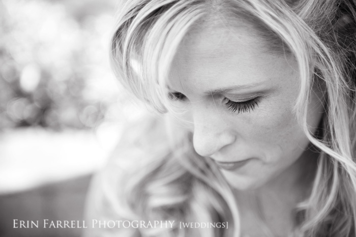 chadds ford pa wedding photographer, brandywine wedding photographer chadds ford pa wedding photographer, brandywine wedding photographer
