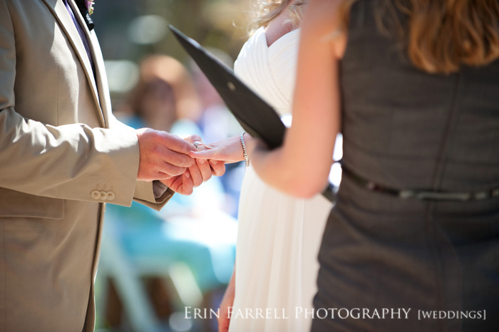 chadds ford pa wedding photographer, brandywine wedding photographer chadds ford pa wedding photographer, brandywine wedding photographer
