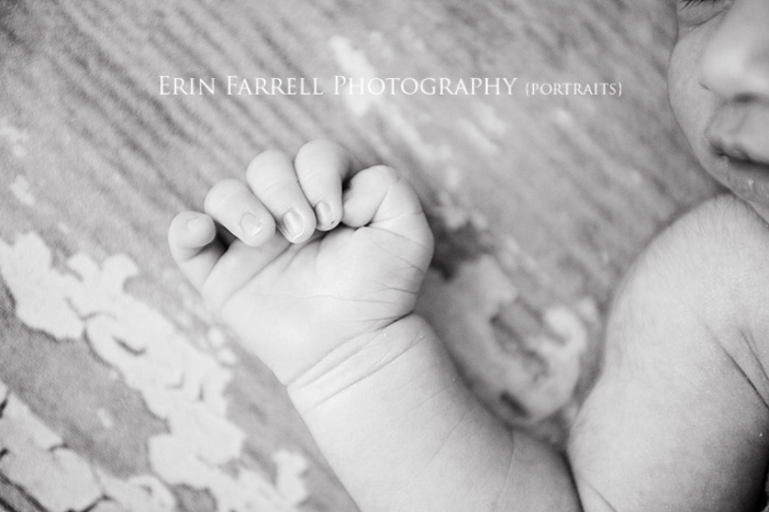new castle county, wilmington delaware newborn and baby photographer