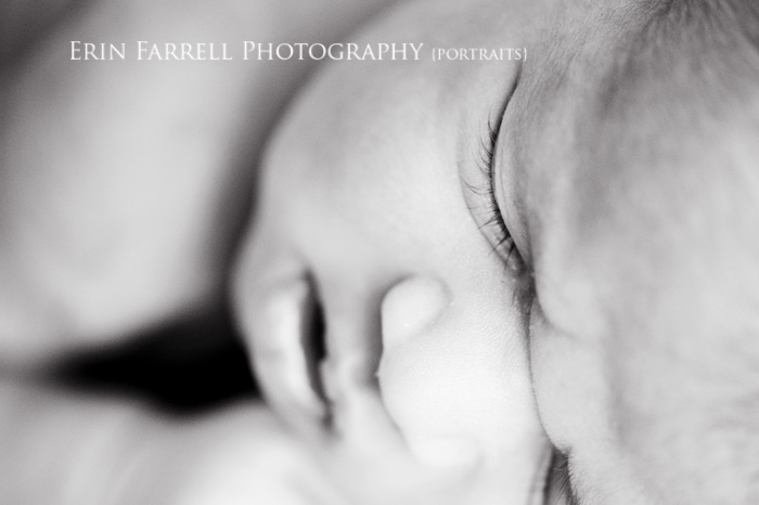 new castle county, wilmington delaware newborn and baby photographer