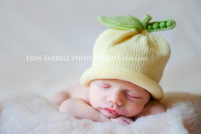 wilmington new castle county delaware newborn twin photographer photography