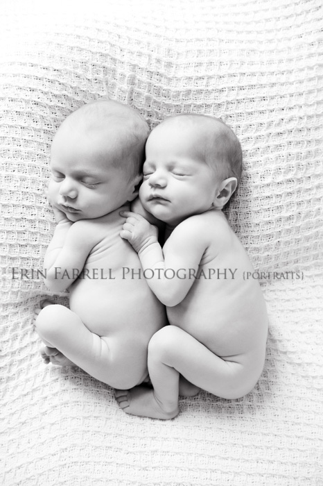 wilmington new castle county delaware newborn twin photographer photography