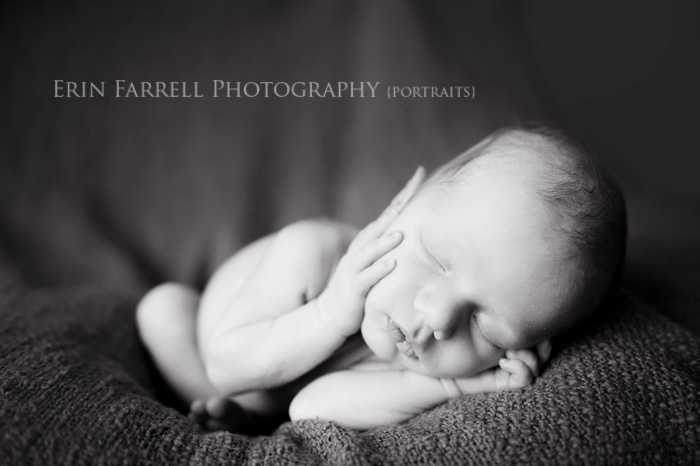 wilmington new castle county delaware newborn twin photographer photography