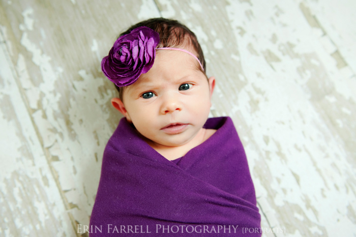 wilmington delaware newborn photographer