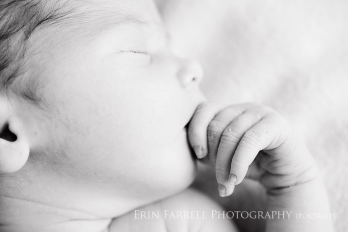 wilmington delaware newborn photographer