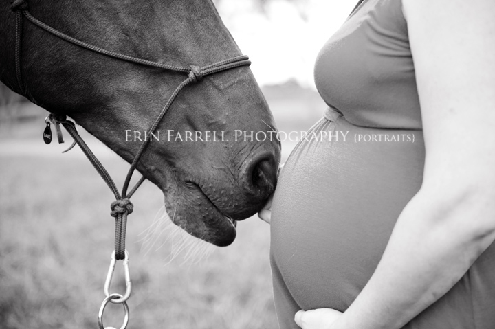 delaware maternity photographer horse barn