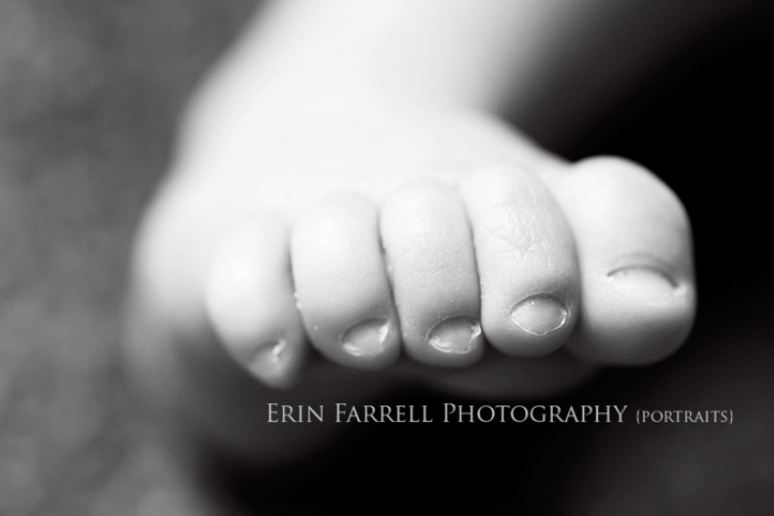 delaware newborn photographer
