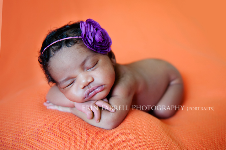 delaware newborn photographer