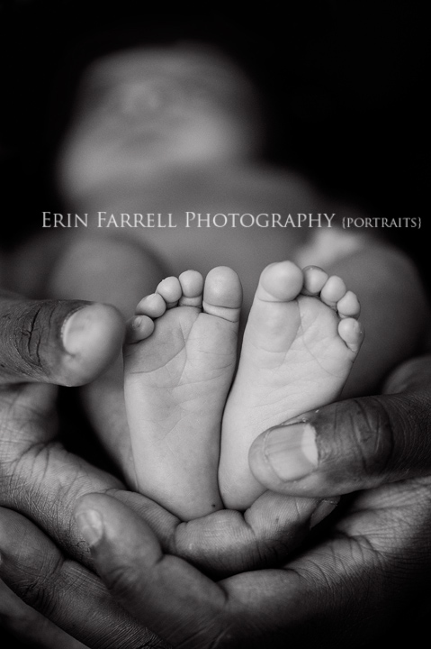 delaware newborn photographer