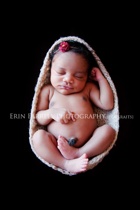 delaware newborn photographer