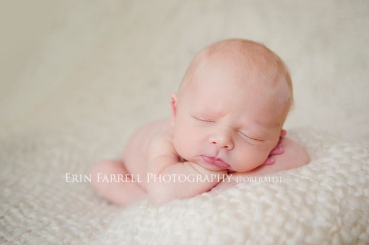 delaware newborn photographer