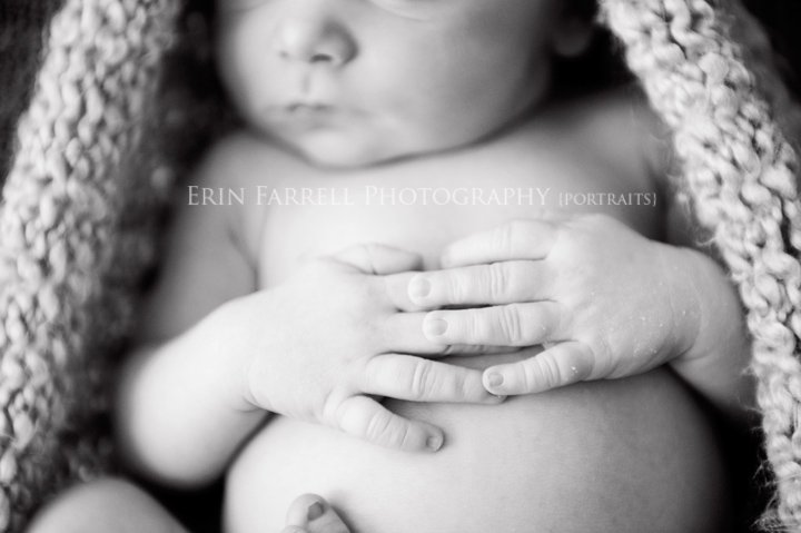 delaware newborn photographer