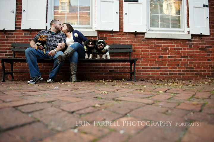 new castle delaware portrait pet photographer