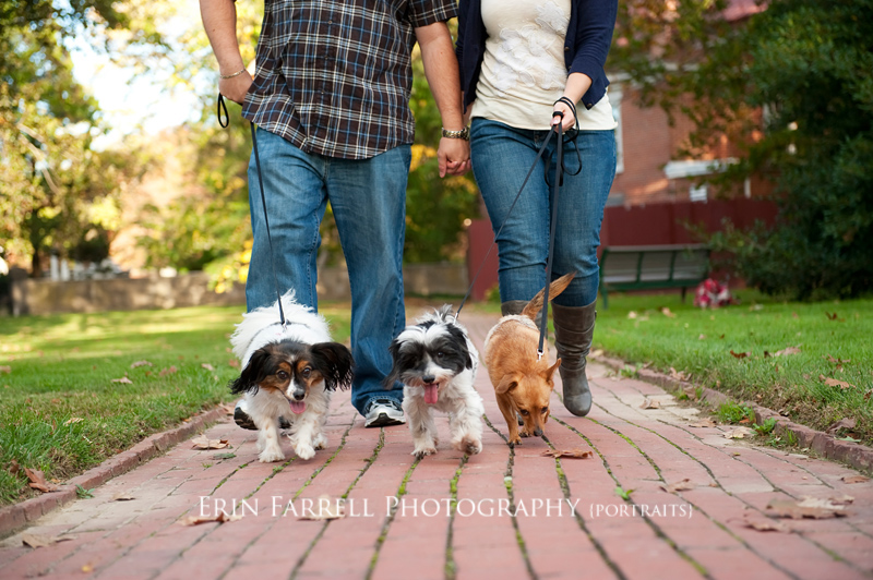 new castle delaware portrait pet photographer