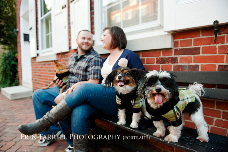 new castle delaware portrait pet photographer