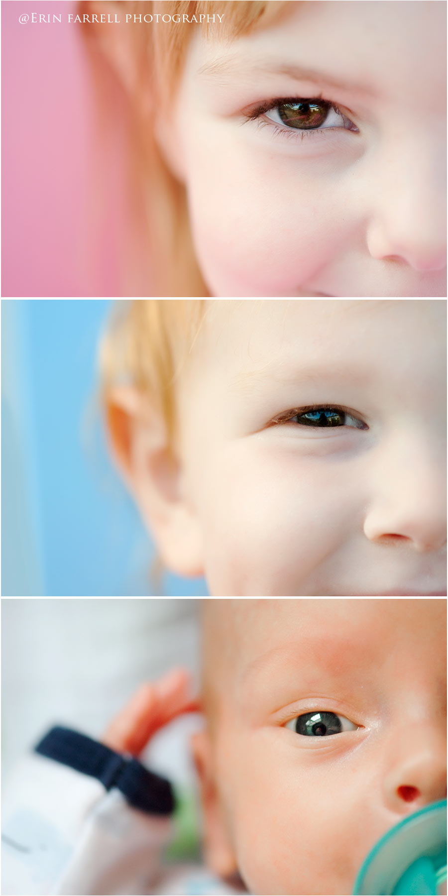 blogcircle2a delaware portrait photographer